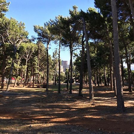 קייפטאון Urban Oasis At Plantation Cottages מראה חיצוני תמונה